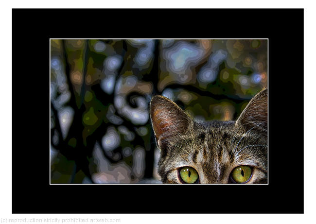 Peeping Tom
