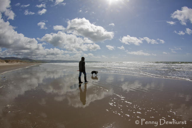 One man and his dog