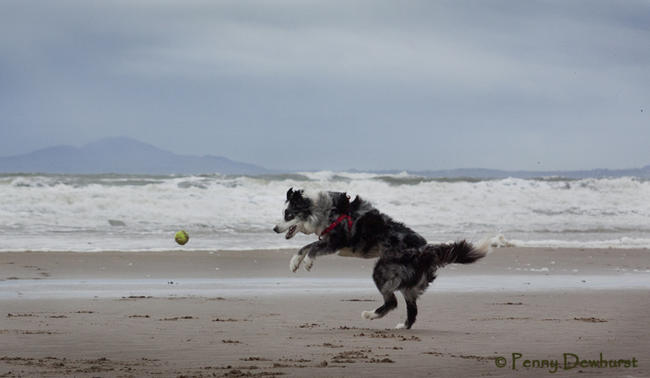 Chasing the ball