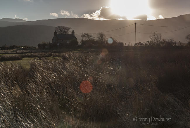 Sun coming up over Ynys