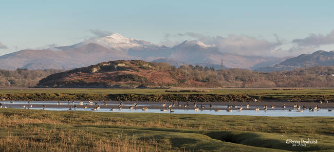 Snowdonia from Ynys