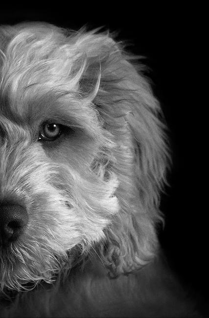 I can see you