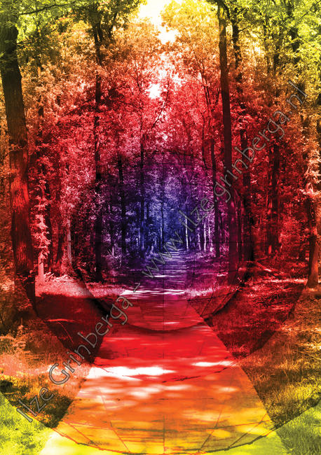Color your path