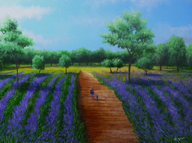 Lavender field walk