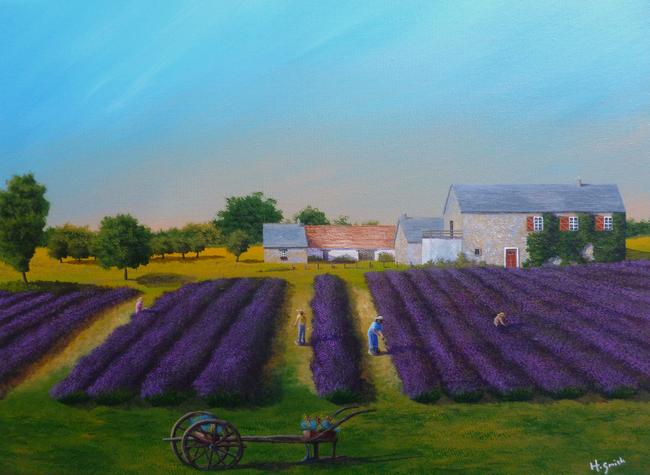 Normandy lavender farm