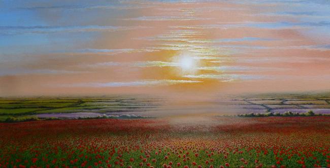Poppyfield Late Evening