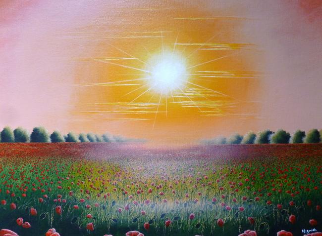 Poppies and Sun