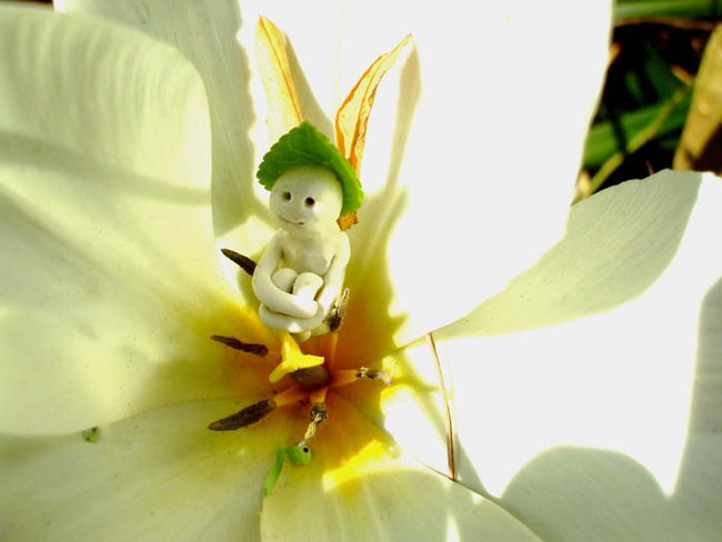 flower fairy
