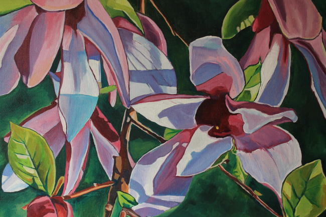 Magnolia Blossom