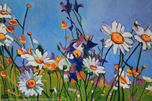 Wildflowers 2