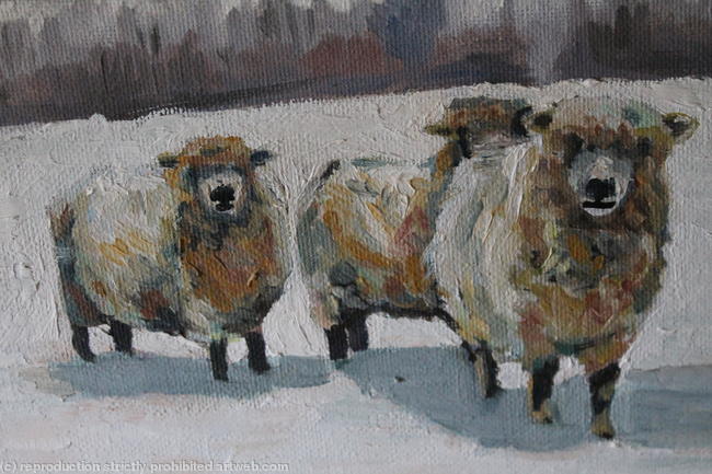 Winter Sheep