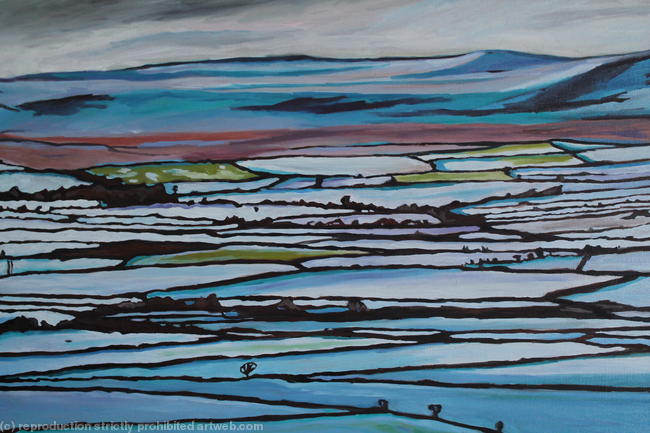 Wintry View from Cefn Bryn