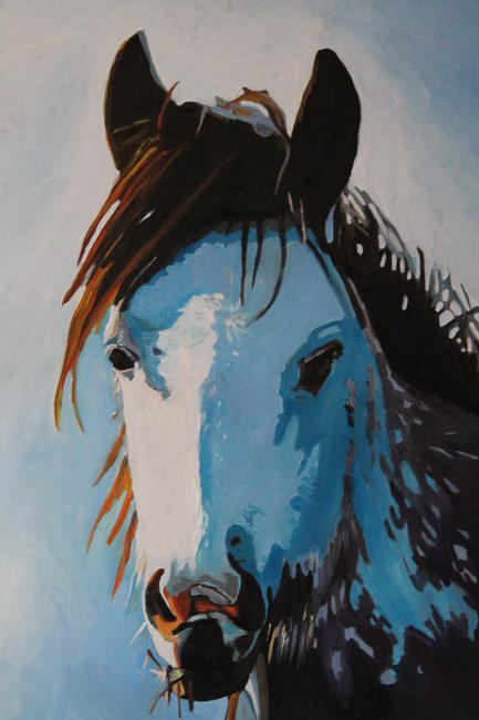 Grey White Mare