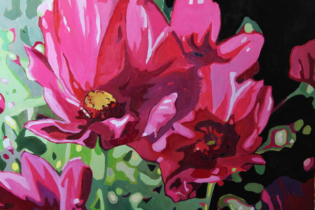 Pink Poppies