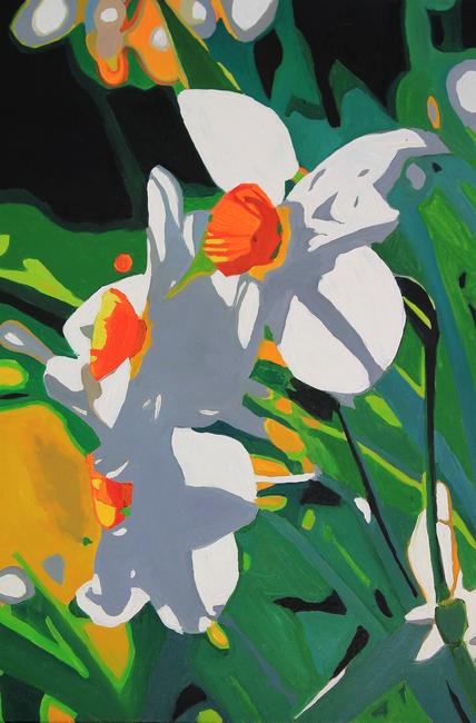 Narcissus