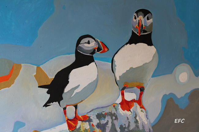 Puffins