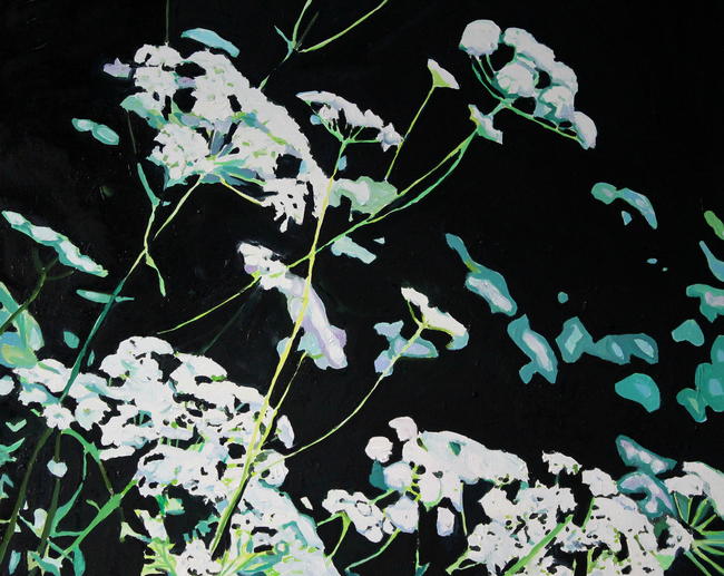 Umbellifers
