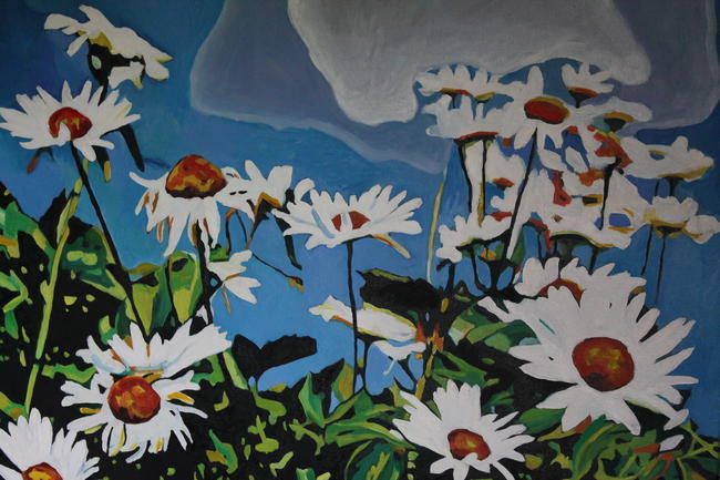 Windy Oxeye Daises