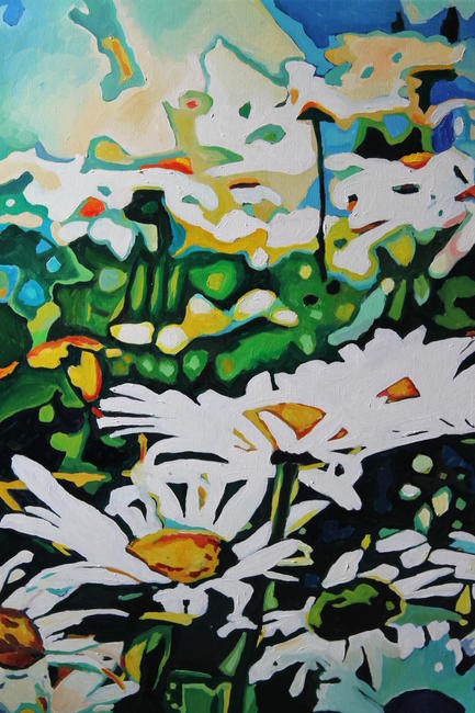 Wild Oxeye Daisies