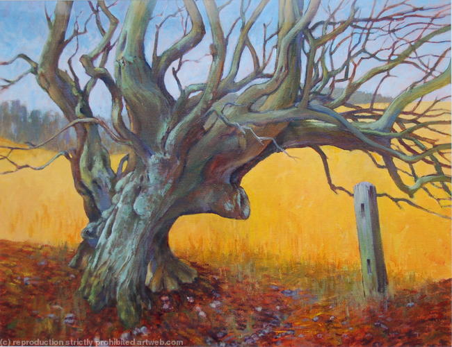 The Old Tree