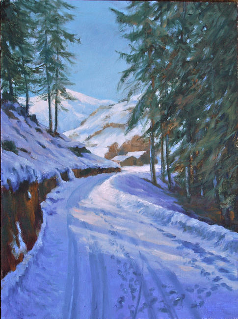 Snowy road with pines