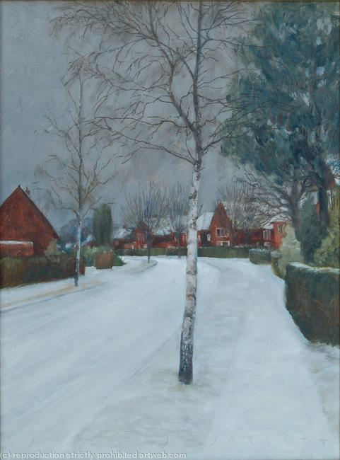 Fearnley Road under snow