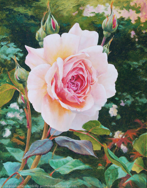 Rose; A Shropshire Lad.