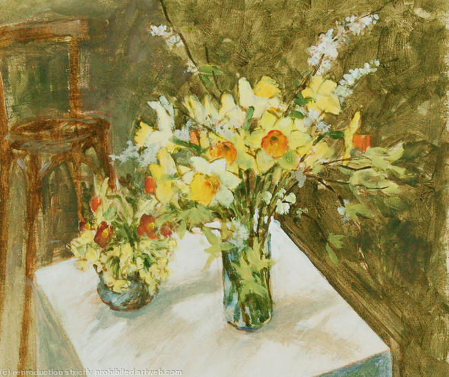 Spring Flowers