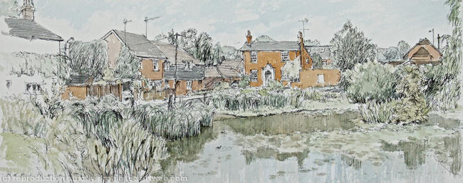 The pond at Woolmer Green