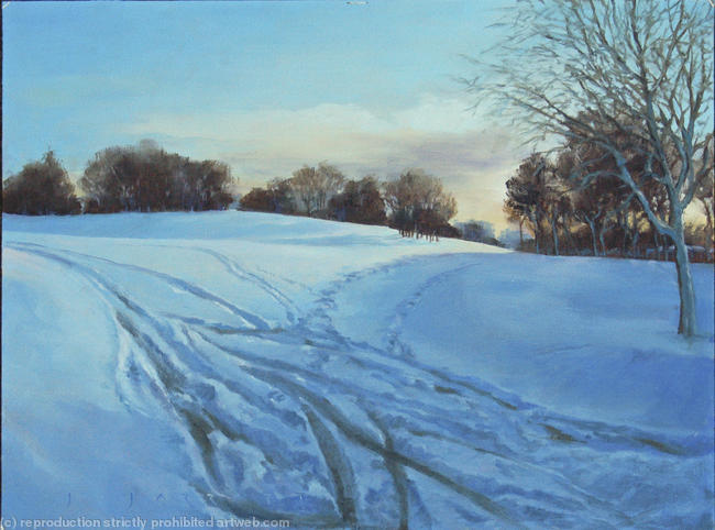 Snow at Stanborough Park
