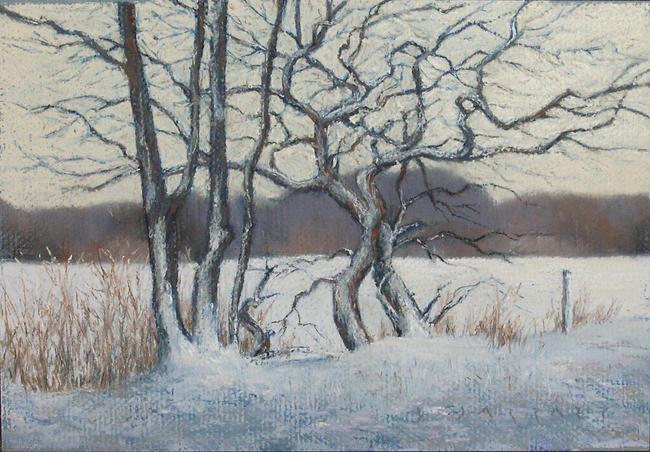 On the Ayot Way, Hertfordshire