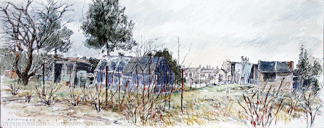 Allotment 3: The gap between allotment fields
