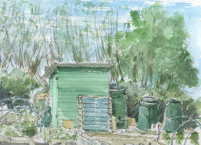 Allotment 6: Sketch