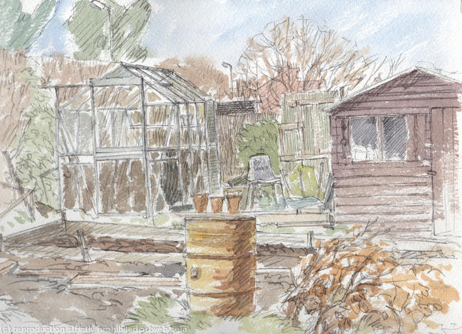 Allotment 4: Sketch