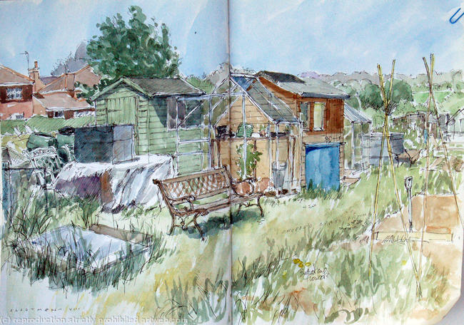 Allotment 8: Clustered sheds and greenhouses