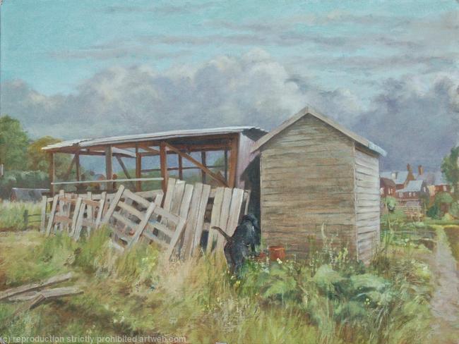 Allotments 15: Behind the windbreak