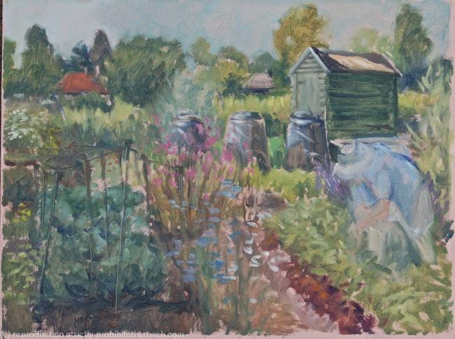 Allotments 15: Beryl's patch
