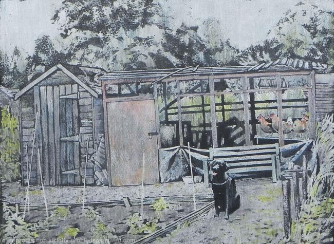 Allotments 11: A shed, a coop, three hens and Lottie.