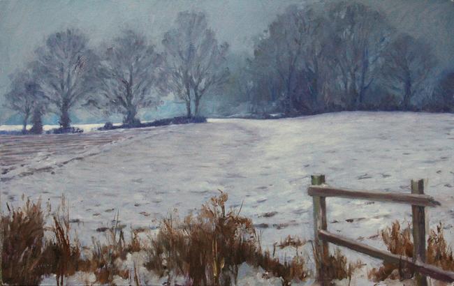 Snowy Field