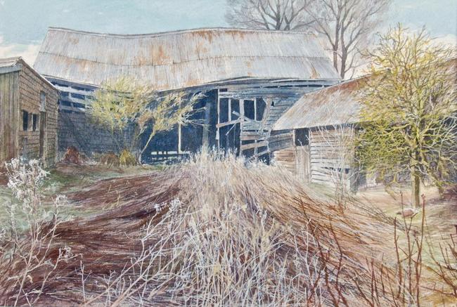 Last year's weeds. Barns at Therfield.