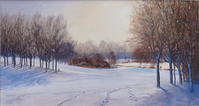Snow at Stanborough Lakes