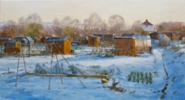 Early sun, Marford allotments.