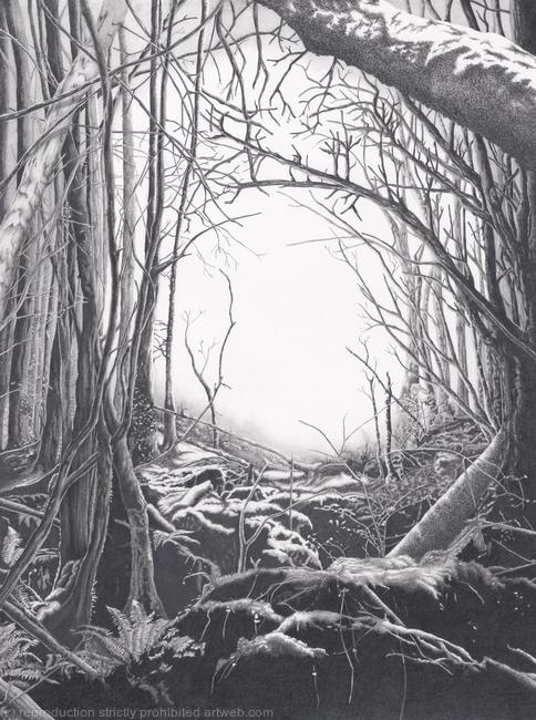Puzzlewood