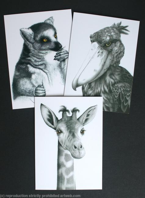Cards pack C