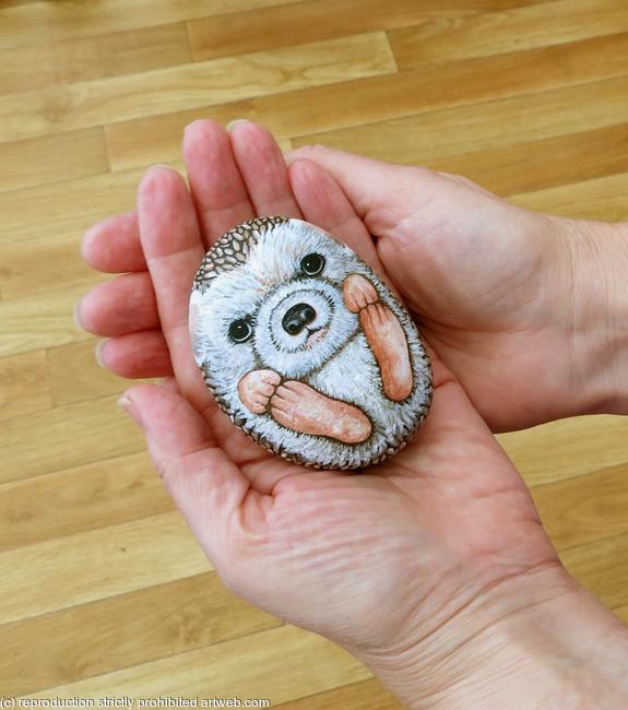 Pygmy African Hedgehog