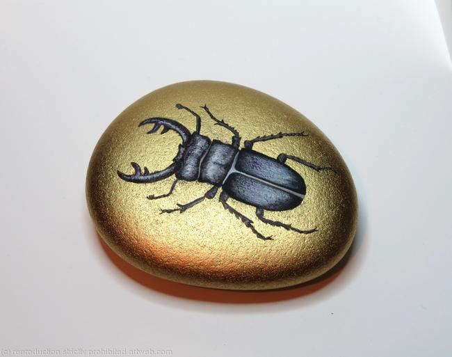 stagbeetle1