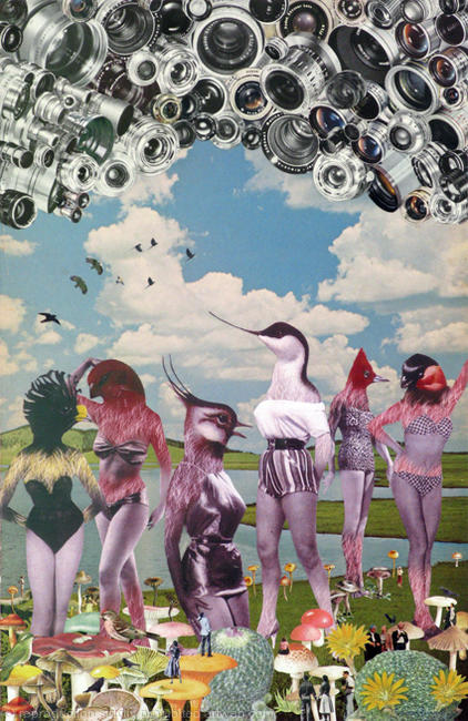 Birdwatching