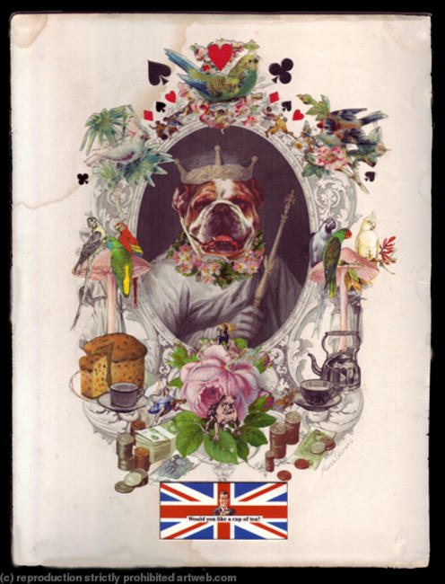 The Bulldog King