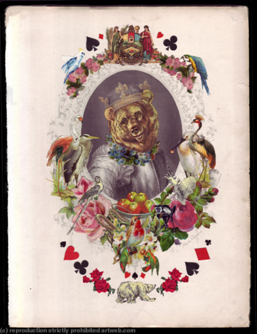 The Bear King