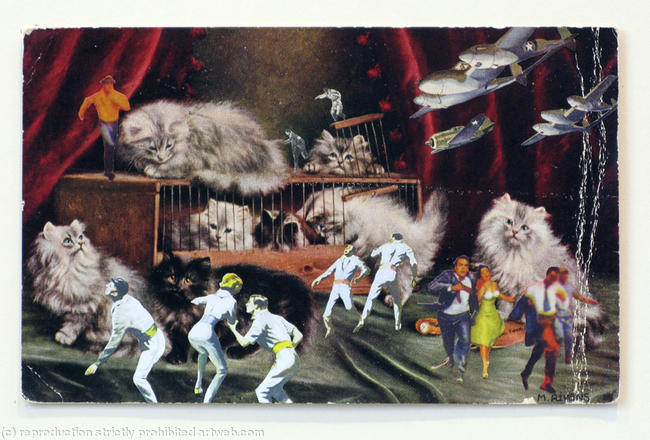 Killer Kittens